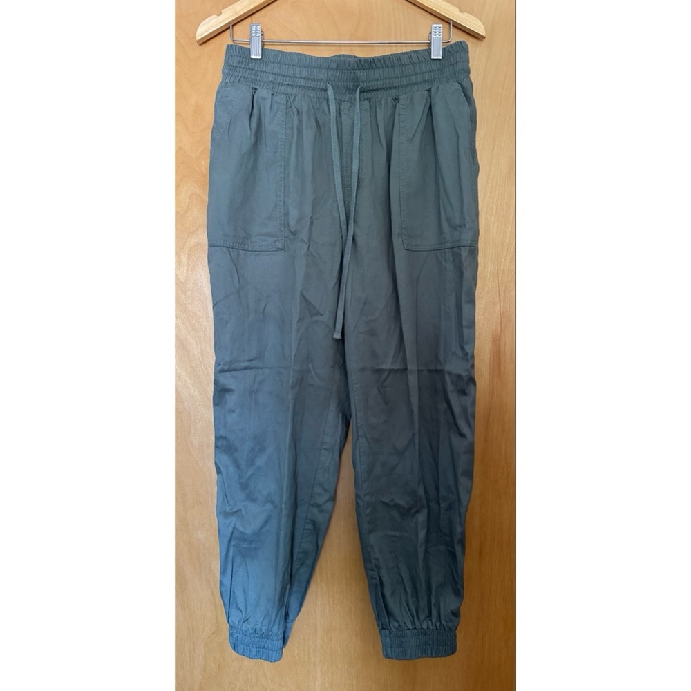 ANTHRO jogger pants